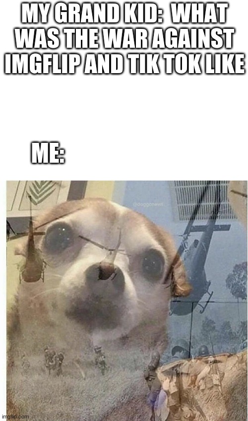 this is just for fun... | MY GRAND KID:  WHAT WAS THE WAR AGAINST IMGFLIP AND TIK TOK LIKE; ME: | image tagged in ptsd chihuahua | made w/ Imgflip meme maker