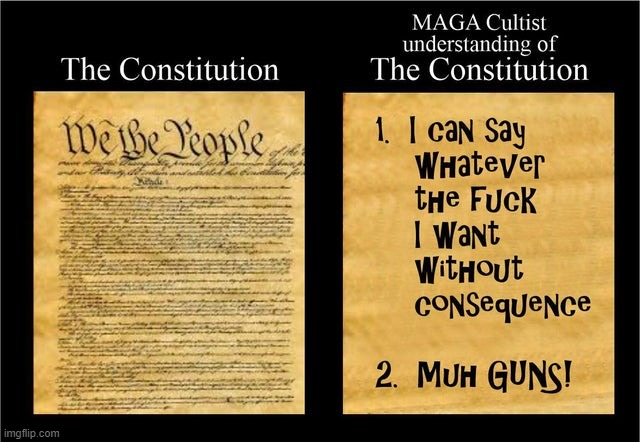 According to MAGATS | image tagged in constitution | made w/ Imgflip meme maker