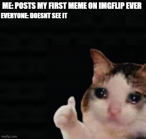 crii | ME: POSTS MY FIRST MEME ON IMGFLIP EVER; EVERYONE: DOESNT SEE IT | image tagged in thumbs up crying cat | made w/ Imgflip meme maker