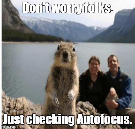 Looks OK to me. | Don't worry folks. Just checking Autofocus. | image tagged in don't mind me,herrwh | made w/ Imgflip meme maker