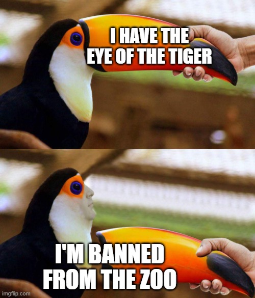 Toucan Beak | I HAVE THE EYE OF THE TIGER; I'M BANNED FROM THE ZOO | image tagged in toucan beak | made w/ Imgflip meme maker