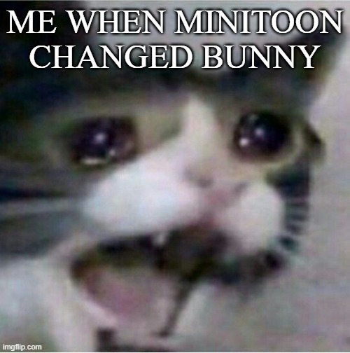 crying cat | ME WHEN MINITOON CHANGED BUNNY | image tagged in crying cat | made w/ Imgflip meme maker