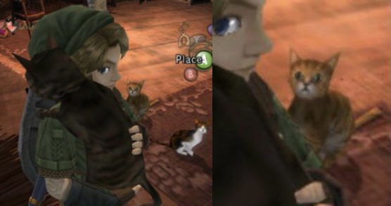 cat needs attention (zelda version) Blank Meme Template