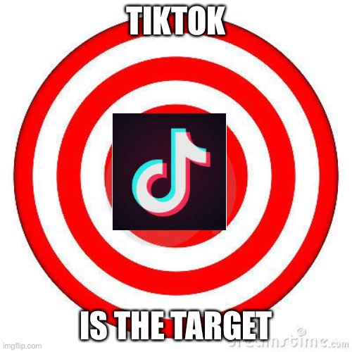 Now kill it | TIKTOK; IS THE TARGET | image tagged in target | made w/ Imgflip meme maker