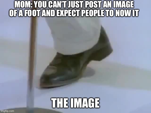 You should read the title before you see the image | MOM: YOU CAN’T JUST POST AN IMAGE OF A FOOT AND EXPECT PEOPLE TO NOW IT; THE IMAGE | image tagged in rick astley's foot | made w/ Imgflip meme maker