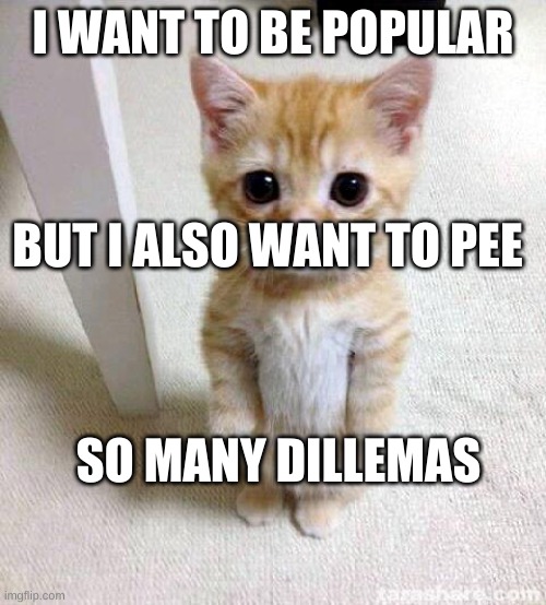 Cute Cat |  I WANT TO BE POPULAR; BUT I ALSO WANT TO PEE; SO MANY DILEMMAS | image tagged in memes,cute cat | made w/ Imgflip meme maker
