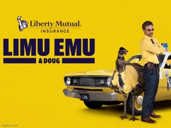 limu emu. | image tagged in memes,funny,liberty mutual,wtf,idk | made w/ Imgflip meme maker