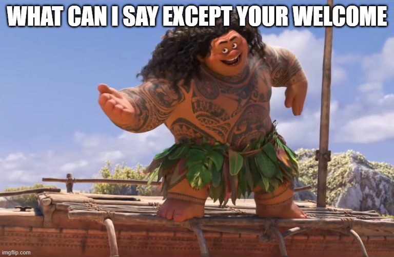 you're welcome without subs | WHAT CAN I SAY EXCEPT YOUR WELCOME | image tagged in you're welcome without subs | made w/ Imgflip meme maker