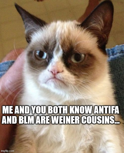 Eternal Illumination. | ME AND YOU BOTH KNOW ANTIFA AND BLM ARE WEINER COUSINS... | image tagged in memes,grumpy cat | made w/ Imgflip meme maker