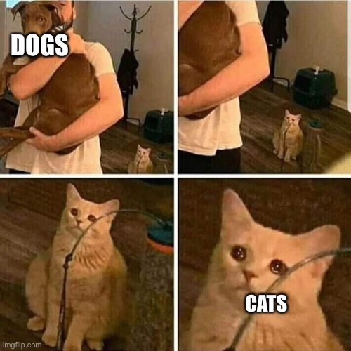 Which stream was it supposed to be? | DOGS; CATS | image tagged in sad cat holding dog | made w/ Imgflip meme maker