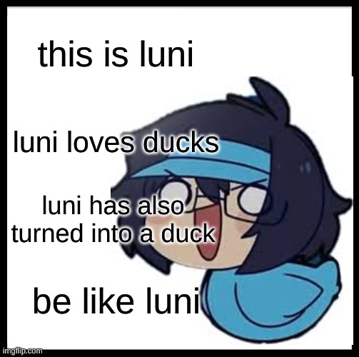 just something random | this is luni; luni loves ducks; luni has also turned into a duck; be like luni | image tagged in ducks,luni,funny | made w/ Imgflip meme maker