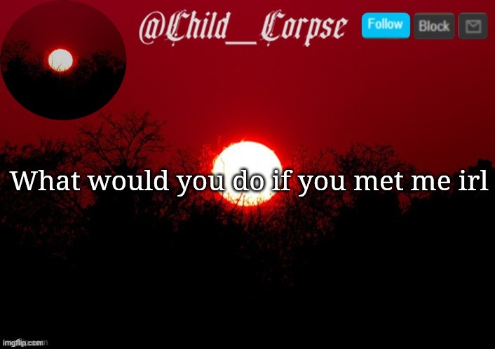 Child_Corpse announcement template | What would you do if you met me irl | image tagged in child_corpse announcement template | made w/ Imgflip meme maker