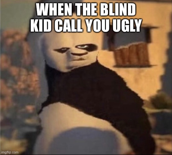 Blind | WHEN THE BLIND KID CALL YOU UGLY | image tagged in weird panda | made w/ Imgflip meme maker