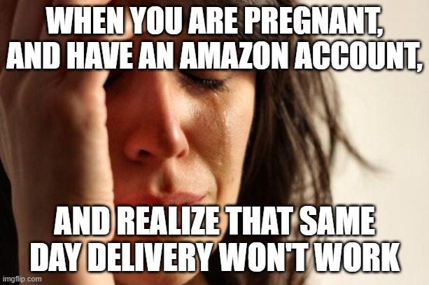 I thought of this a while back because imgflip was blocked on my school computer | WHEN YOU ARE PREGNANT, AND HAVE AN AMAZON ACCOUNT, AND REALIZE THAT SAME DAY DELIVERY WON'T WORK | image tagged in memes,first world problems | made w/ Imgflip meme maker