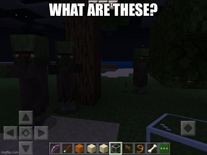 WHAT ARE THESE? | image tagged in umm | made w/ Imgflip meme maker