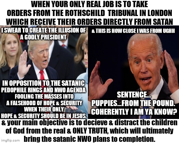 All those words... ain't nobody got time for that | I SWEAR TO CREATE THE ILLUSION OF
A GODLY PRESIDENT; & THIS IS HOW CLOSE I WAS FROM UGHH; IN OPPOSITION TO THE SATANIC; PEDOPHILE RINGS AND NWO AGENDA; SENTENCE... PUPPIES...FROM THE POUND. 
COHERENTLY I AM YA KNOW? FOOLING THE MASSES INTO A FALSEHOOD OF HOPE & SECURITY; WHEN THEIR ONLY HOPE & SECURITY SHOULD BE IN JESUS. | image tagged in trump,biden,politics,funny,memes,conspiracy | made w/ Imgflip meme maker