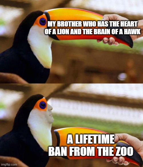 sometimes there is no need for a title | MY BROTHER WHO HAS THE HEART OF A LION AND THE BRAIN OF A HAWK; A LIFETIME BAN FROM THE ZOO | image tagged in tucan,funny | made w/ Imgflip meme maker