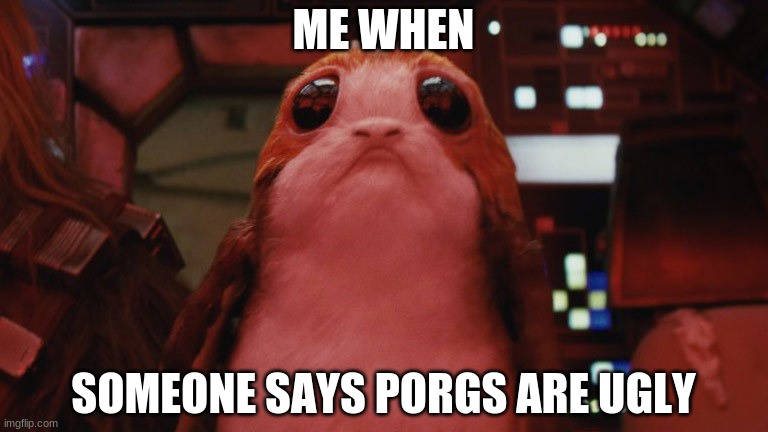 same goes for grogu a ewoks | ME WHEN; SOMEONE SAYS PORGS ARE UGLY | image tagged in porg,star wars,grogu,baby yoda,ewok | made w/ Imgflip meme maker