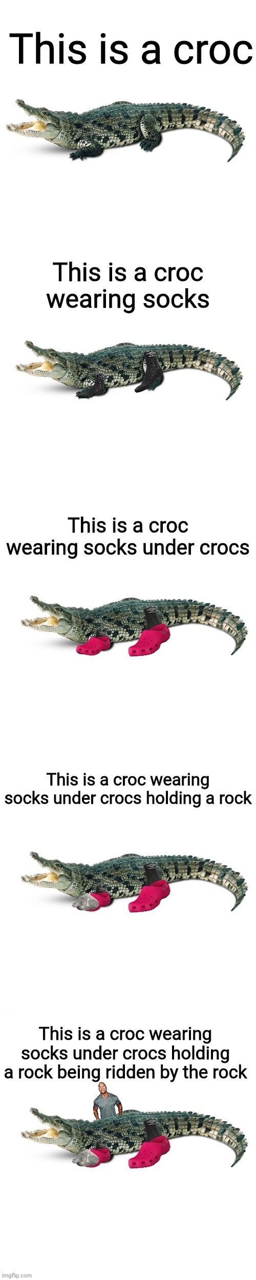 Meanwhile in florida | image tagged in crocodile,funny,memes,funny memes,meanwhile in florida,the rock | made w/ Imgflip meme maker