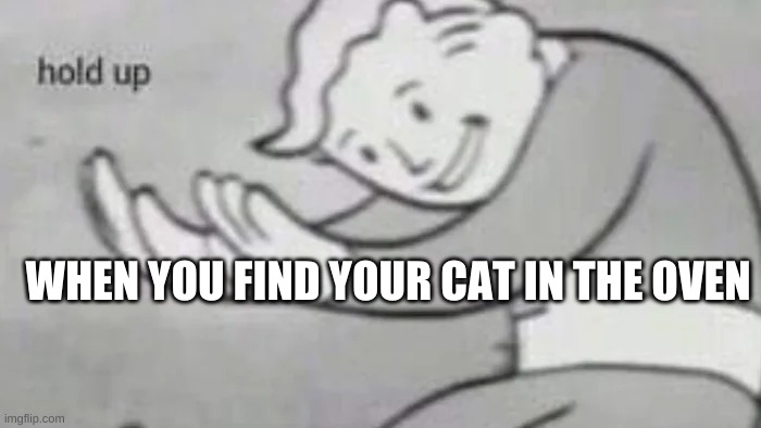 OVEN CAT | WHEN YOU FIND YOUR CAT IN THE OVEN | image tagged in fallout hold up | made w/ Imgflip meme maker