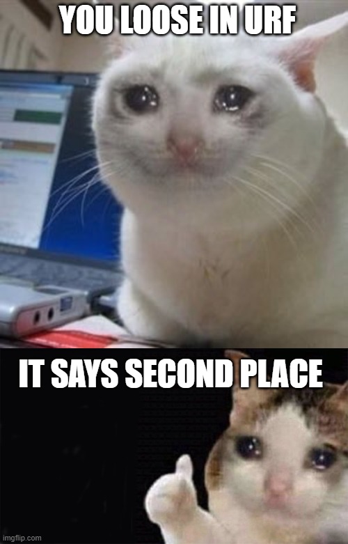 YOU LOOSE IN URF; IT SAYS SECOND PLACE | image tagged in sad cat tears,cat thumbs up sad | made w/ Imgflip meme maker