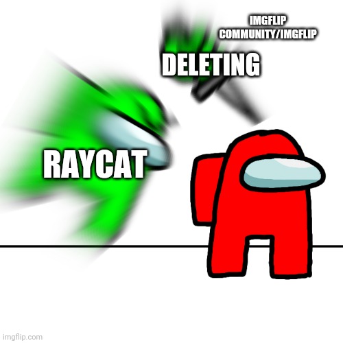 Among us kill | DELETING RAYCAT IMGFLIP COMMUNITY/IMGFLIP | image tagged in among us kill | made w/ Imgflip meme maker