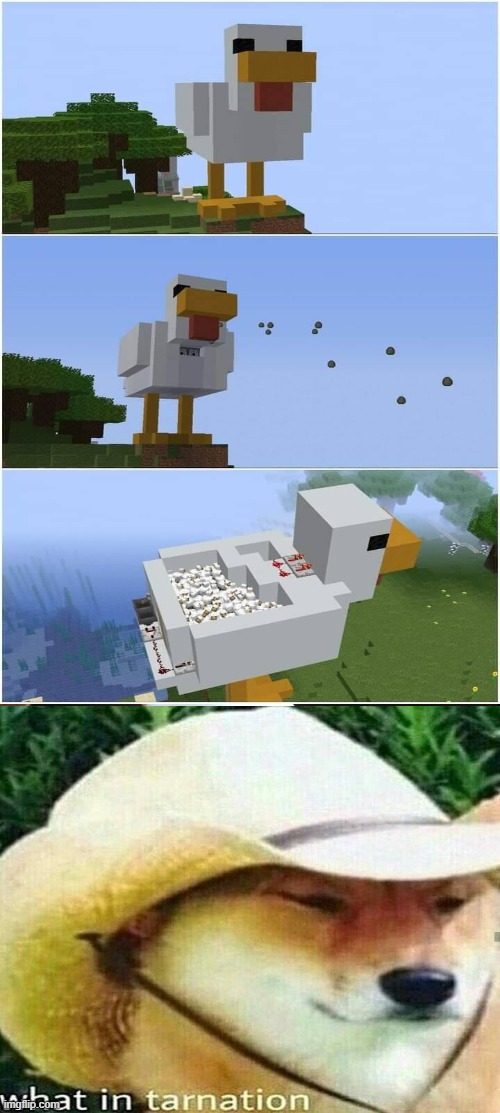 Just imagine if someone put this near your base then the chickens makes a deafening sound and ejects chicken eggs everywhere | image tagged in minecraft,chickens,what in tarnation | made w/ Imgflip meme maker