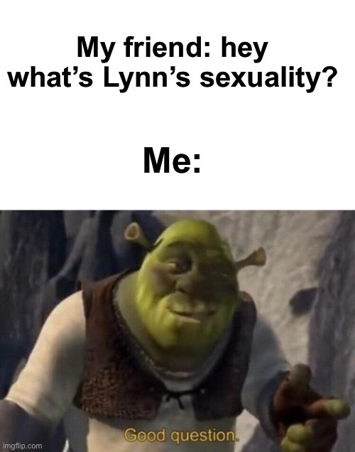 We actually had a long friendly argument about what it was and we both decided on it being straight | My friend: hey what’s Lynn’s sexuality? Me: | made w/ Imgflip meme maker