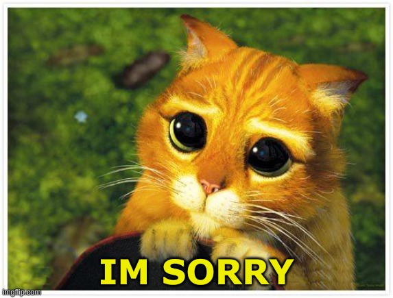 Sorry Kitty | IM SORRY | image tagged in sorry kitty | made w/ Imgflip meme maker