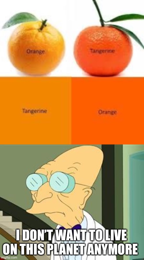 Orange Tangerine Professor | I DON’T WANT TO LIVE ON THIS PLANET ANYMORE | image tagged in memes,i don't want to live on this planet anymore,futurama,orange | made w/ Imgflip meme maker