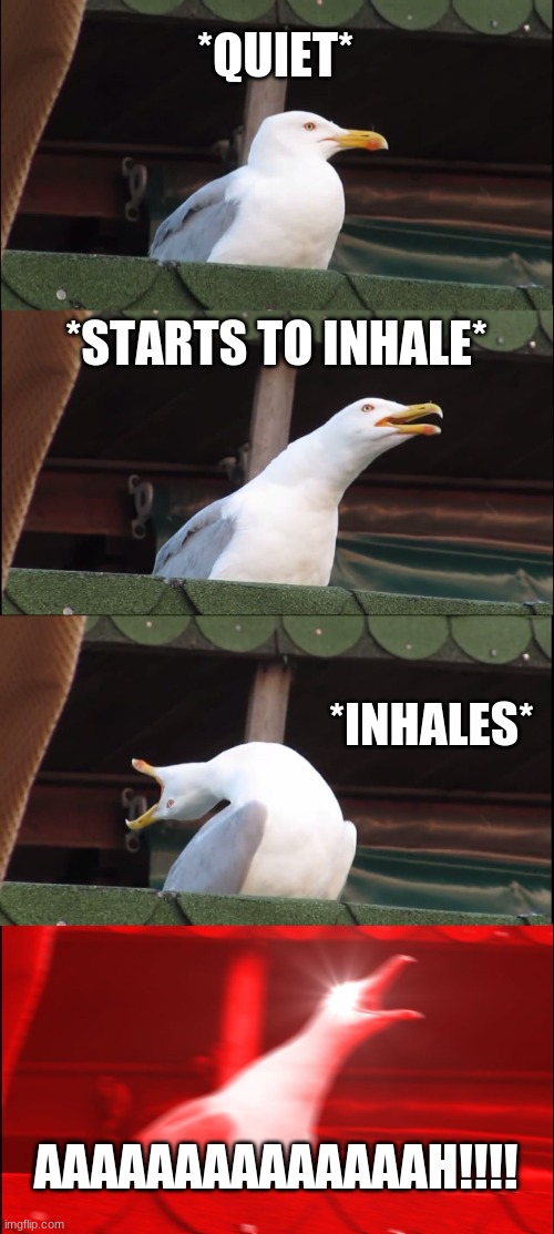 Inhaling Seagull | *QUIET*; *STARTS TO INHALE*; *INHALES*; AAAAAAAAAAAAAAH!!!! | image tagged in memes,inhaling seagull | made w/ Imgflip meme maker