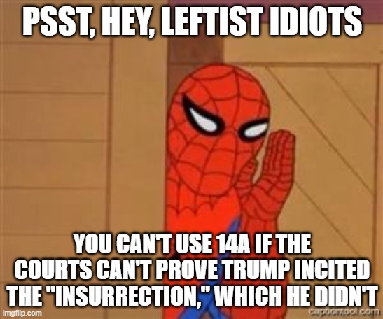 The impeachment trial is a joke | PSST, HEY, LEFTIST IDIOTS; YOU CAN'T USE 14A IF THE COURTS CAN'T PROVE TRUMP INCITED THE "INSURRECTION," WHICH HE DIDN'T | image tagged in psst spiderman | made w/ Imgflip meme maker