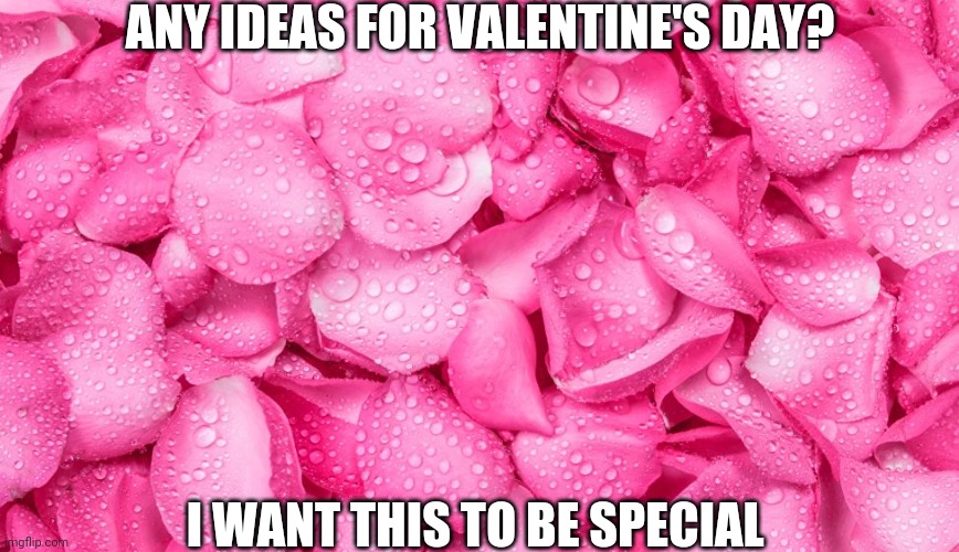 I'm Not Sure If It's Suppose To Be Perfect | ANY IDEAS FOR VALENTINE'S DAY? I WANT THIS TO BE SPECIAL | image tagged in pink rose pedals background | made w/ Imgflip meme maker
