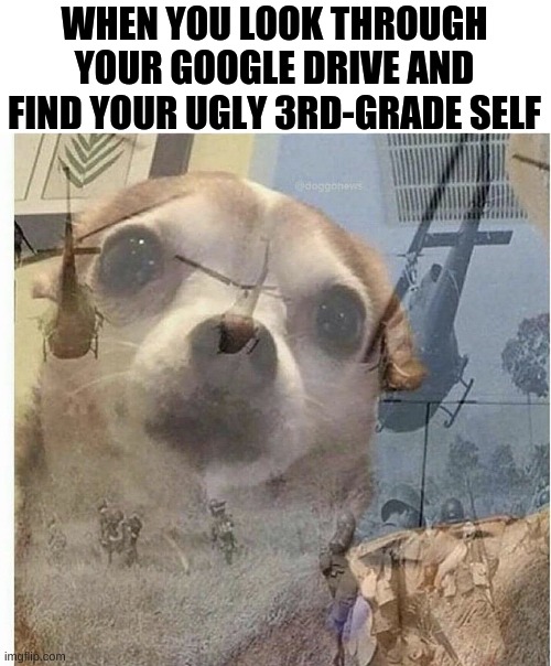 PTSD Chihuahua | WHEN YOU LOOK THROUGH YOUR GOOGLE DRIVE AND FIND YOUR UGLY 3RD-GRADE SELF | image tagged in ptsd chihuahua | made w/ Imgflip meme maker