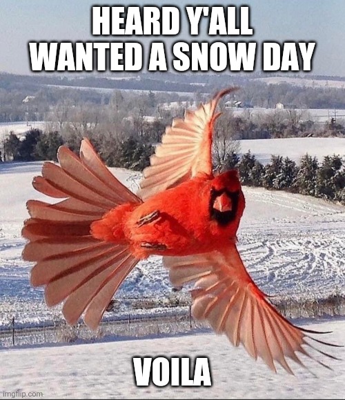 HEARD Y'ALL WANTED A SNOW DAY; VOILA | made w/ Imgflip meme maker
