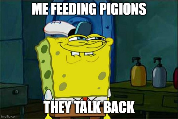 Don't You Squidward Meme | ME FEEDING PIGIONS; THEY TALK BACK | image tagged in memes,don't you squidward | made w/ Imgflip meme maker