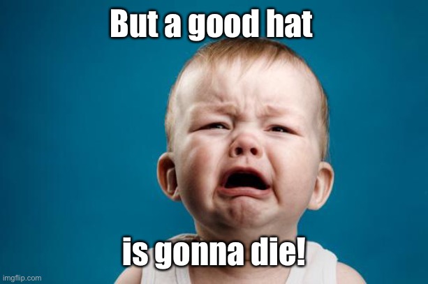 BABY CRYING | But a good hat is gonna die! | image tagged in baby crying | made w/ Imgflip meme maker