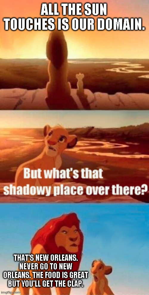 New Orleans |  ALL THE SUN TOUCHES IS OUR DOMAIN. THAT'S NEW ORLEANS. NEVER GO TO NEW ORLEANS. THE FOOD IS GREAT BUT YOU'LL GET THE CLAP. | image tagged in simba shadowy place,new orleans | made w/ Imgflip meme maker