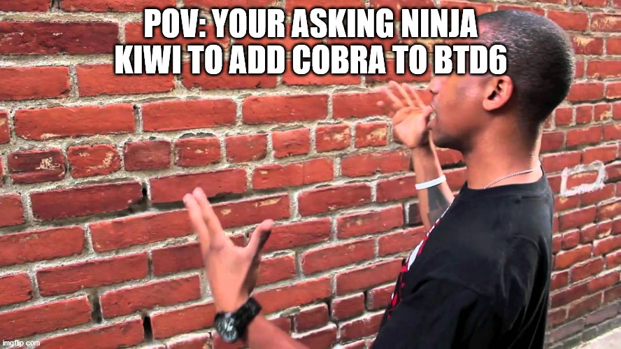 Ninja Kiwi if you see this please add COBRA! | POV: YOUR ASKING NINJA KIWI TO ADD COBRA TO BTD6 | image tagged in talking to wall | made w/ Imgflip meme maker