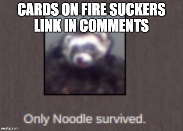 only noodle survived | CARDS ON FIRE SUCKERS
LINK IN COMMENTS | image tagged in only noodle survived | made w/ Imgflip meme maker