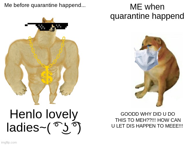 Buff Doge vs. Cheems | Me before quarantine happend... ME when quarantine happend; Henlo lovely ladies~( ͡° ͜ʖ ͡°); GOODD WHY DID U DO THIS TO MEH??!!! HOW CAN U LET DIS HAPPEN TO MEEE!!! | image tagged in memes,buff doge vs cheems | made w/ Imgflip meme maker