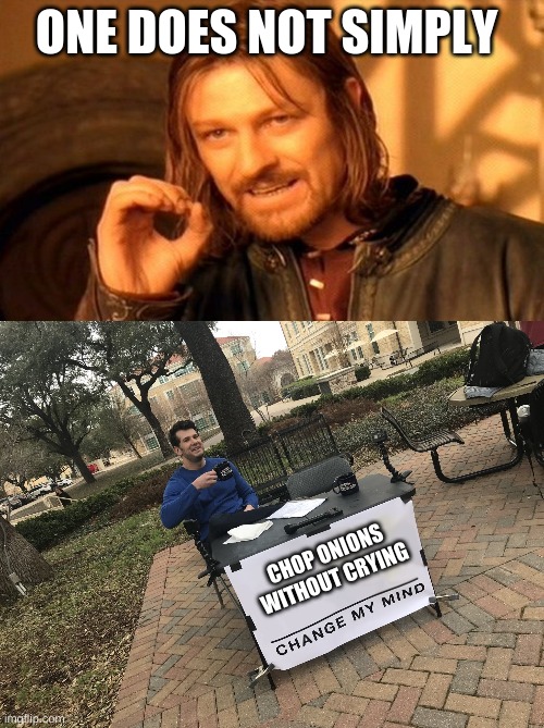 ONE DOES NOT SIMPLY; CHOP ONIONS WITHOUT CRYING | image tagged in memes,one does not simply,change my mind,fun,funny,funny memes | made w/ Imgflip meme maker