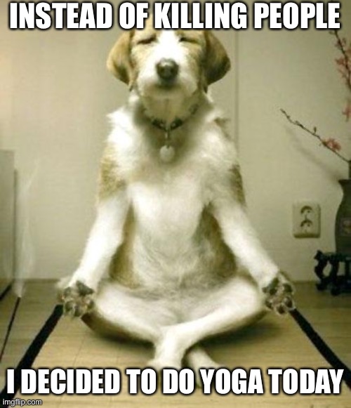 Yoga dog | INSTEAD OF KILLING PEOPLE; I DECIDED TO DO YOGA TODAY | image tagged in yoga,funny,memes,meme,funny meme,funny memes | made w/ Imgflip meme maker