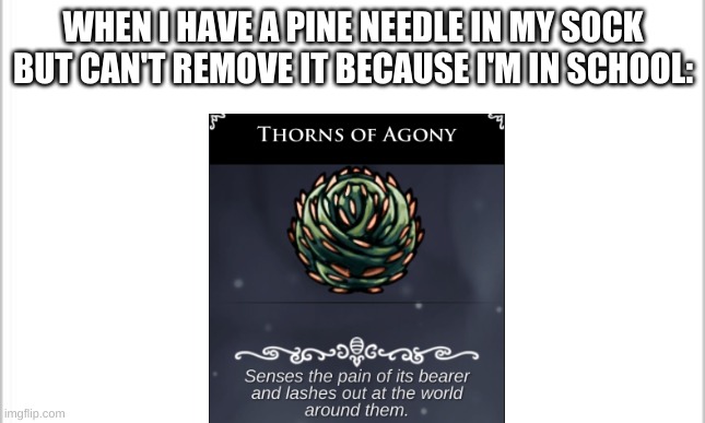 it hurts | WHEN I HAVE A PINE NEEDLE IN MY SOCK BUT CAN'T REMOVE IT BECAUSE I'M IN SCHOOL: | image tagged in white background,hollow knight | made w/ Imgflip meme maker