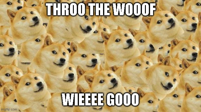 i will be wooofing to the bank by woofday | THROO THE WOOOF; WIEEEE GOOO | image tagged in memes,multi doge,funny memes,doge,cryptocurrency,wallstreetbets | made w/ Imgflip meme maker