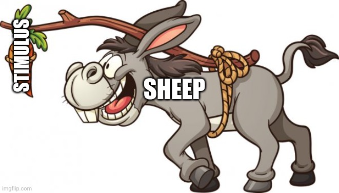 Politics and stuff | STIMULUS; SHEEP | image tagged in funny memes | made w/ Imgflip meme maker