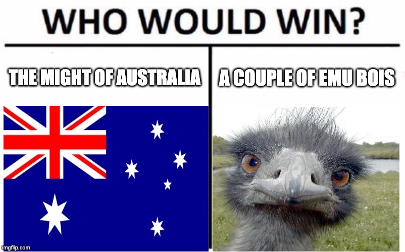 Flashbacks intensifies | THE MIGHT OF AUSTRALIA; A COUPLE OF EMU BOIS | image tagged in who would win | made w/ Imgflip meme maker