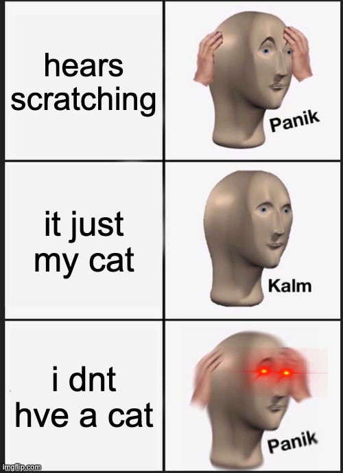 Panik Kalm Panik | hears scratching; it just my cat; i dnt hve a cat | image tagged in memes,panik kalm panik | made w/ Imgflip meme maker