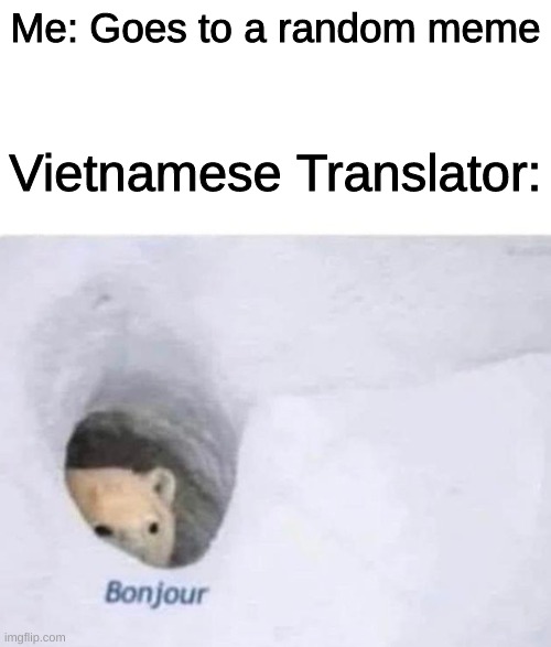 Bonjour | Me: Goes to a random meme; Vietnamese Translator: | image tagged in bonjour | made w/ Imgflip meme maker