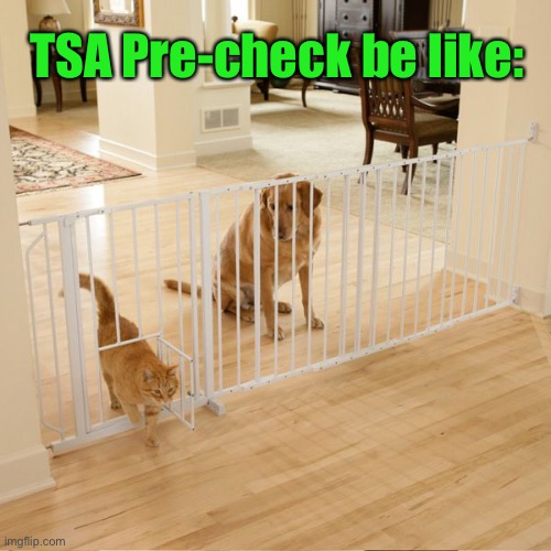 Poor Doggo | TSA Pre-check be like: | image tagged in funny memes,funny cat memes | made w/ Imgflip meme maker